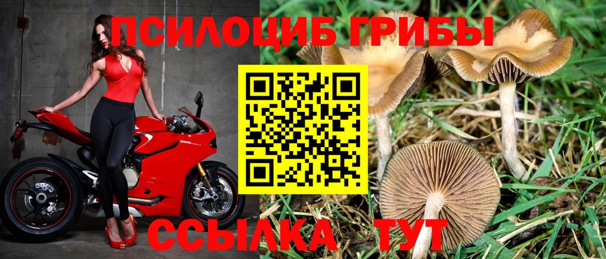 Галлюциногенные грибы Magic Shrooms  Вход с VPN  Мценск 