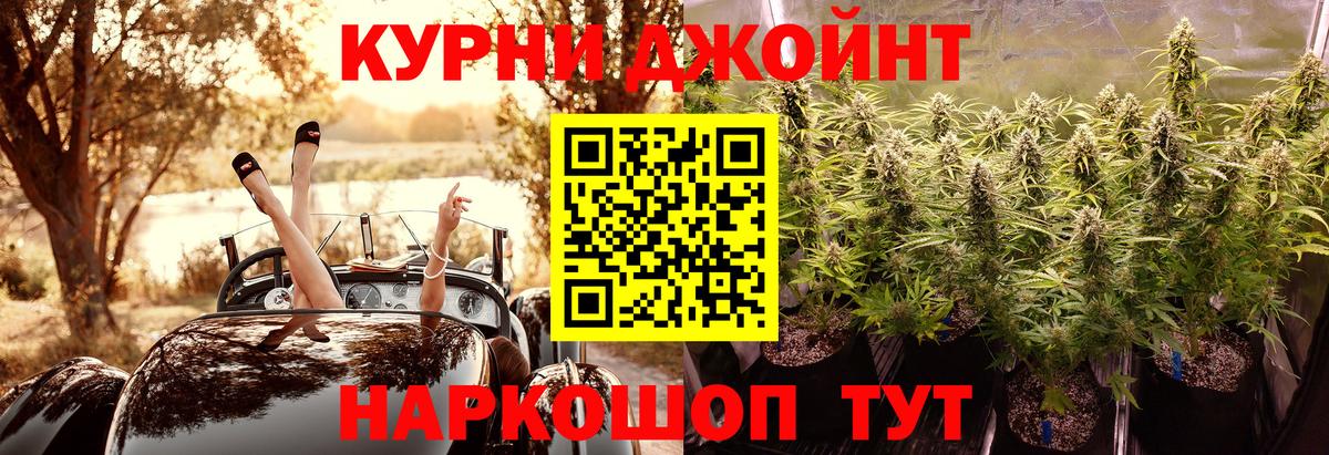 Мценск  Бошки марихуана план  Бошки Шишки Bruce Banner  МАРИХУАНА тримм  Вход с VPN 